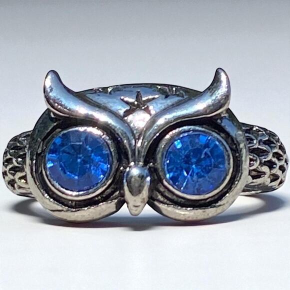 Stainless Steel Owl Ring With Blue Stone Eyes Size 9 - Picture 1 of 6